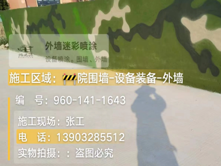 海南藏族 迷彩漆喷涂价格（按平方米计费）